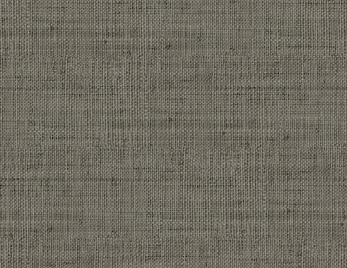 Seabrook Designs RA40319 Wild Bind Wallpaper
