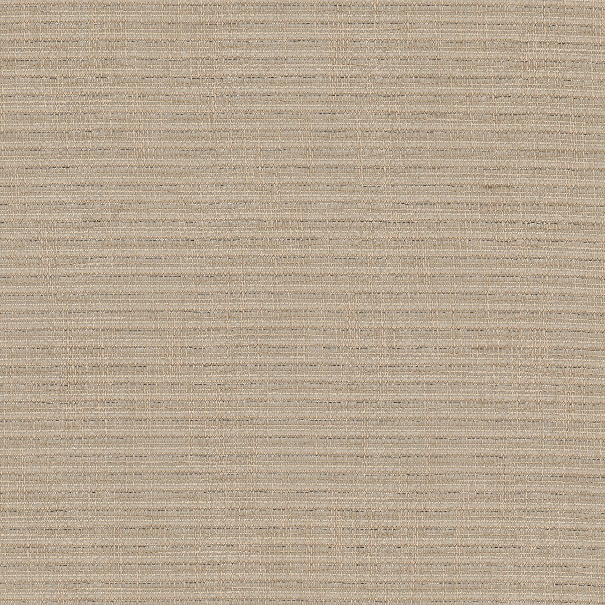 Eade's RALP-1-sample DRIFTWOOD