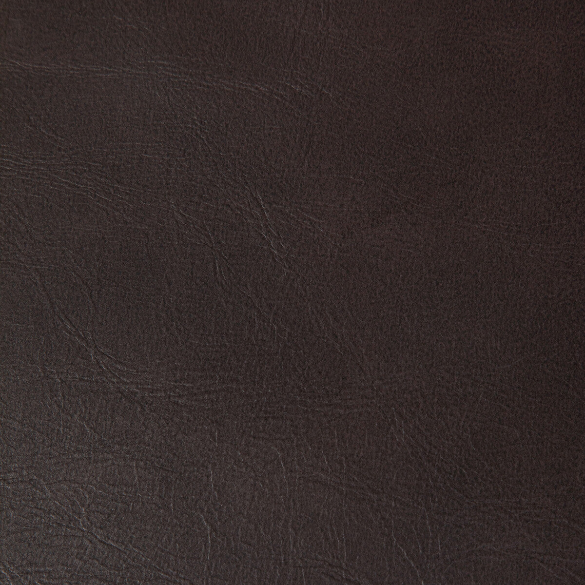 KRAVET CONTRACT RAMBLER.6.0 RAMBLER CACAO Fabric - Eade's Wallpaper