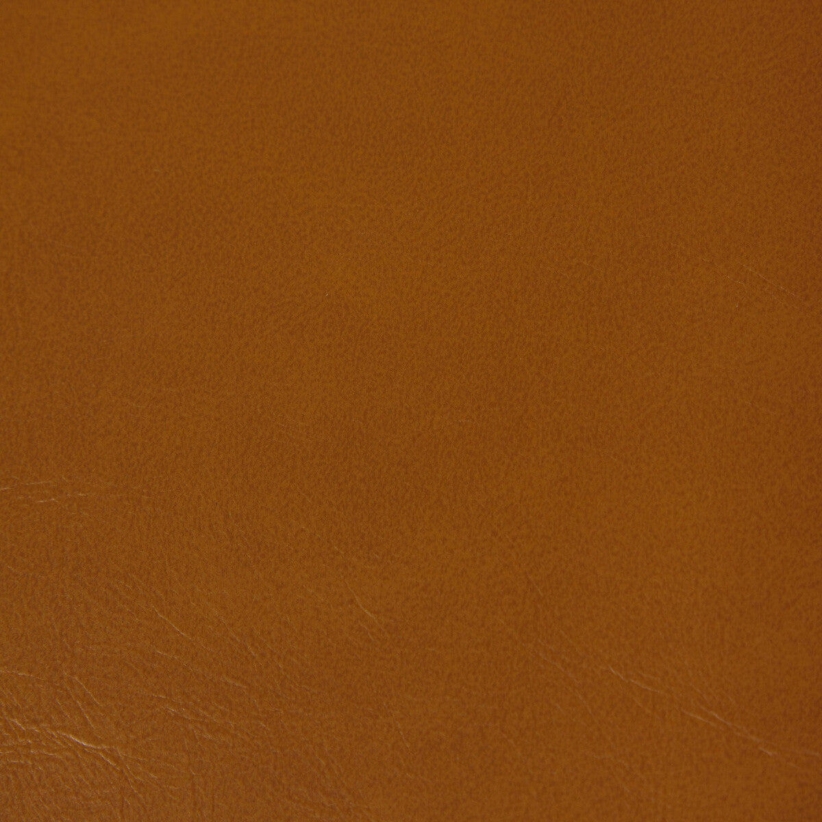 KRAVET CONTRACT RAMBLER.612.0 RAMBLER PLATEAU Fabric - Eade's Wallpaper
