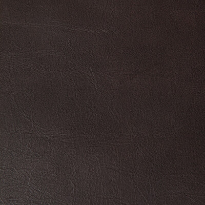 KRAVET CONTRACT RAMBLER.6.0 RAMBLER CACAO Fabric - Eade's Wallpaper