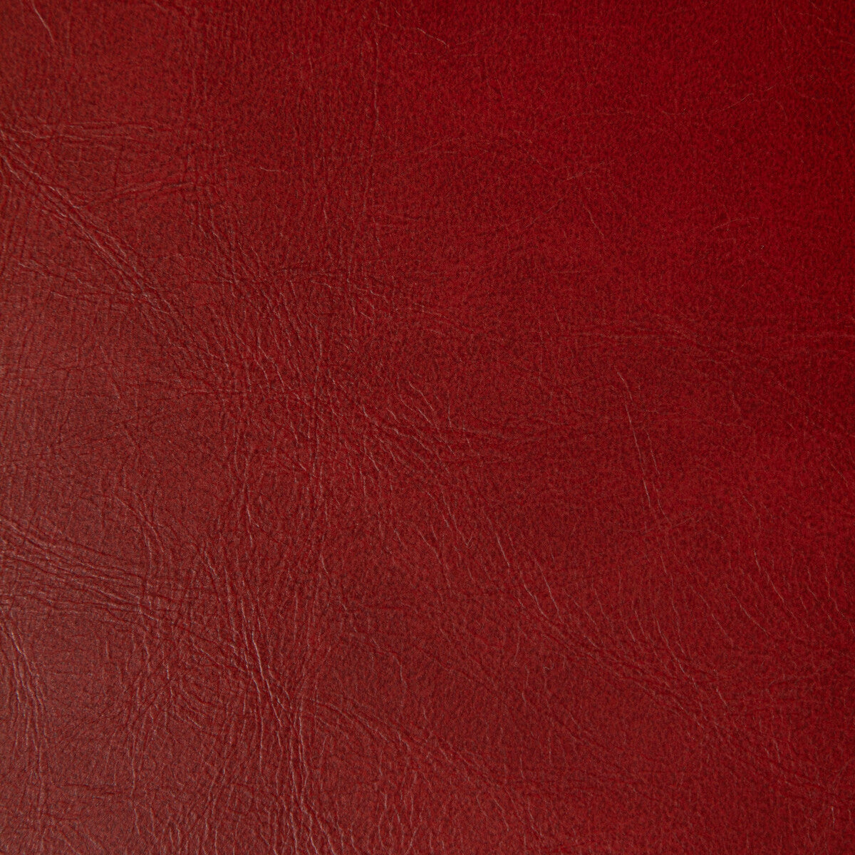 KRAVET CONTRACT RAMBLER.9.0 RAMBLER HABANERO Fabric - Eade's Wallpaper