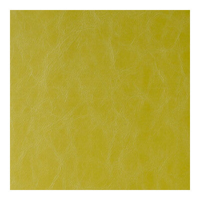 KRAVET DESIGN RANDWICK.13.0 RANDWICK WASABI Fabric - Eade's Wallpaper