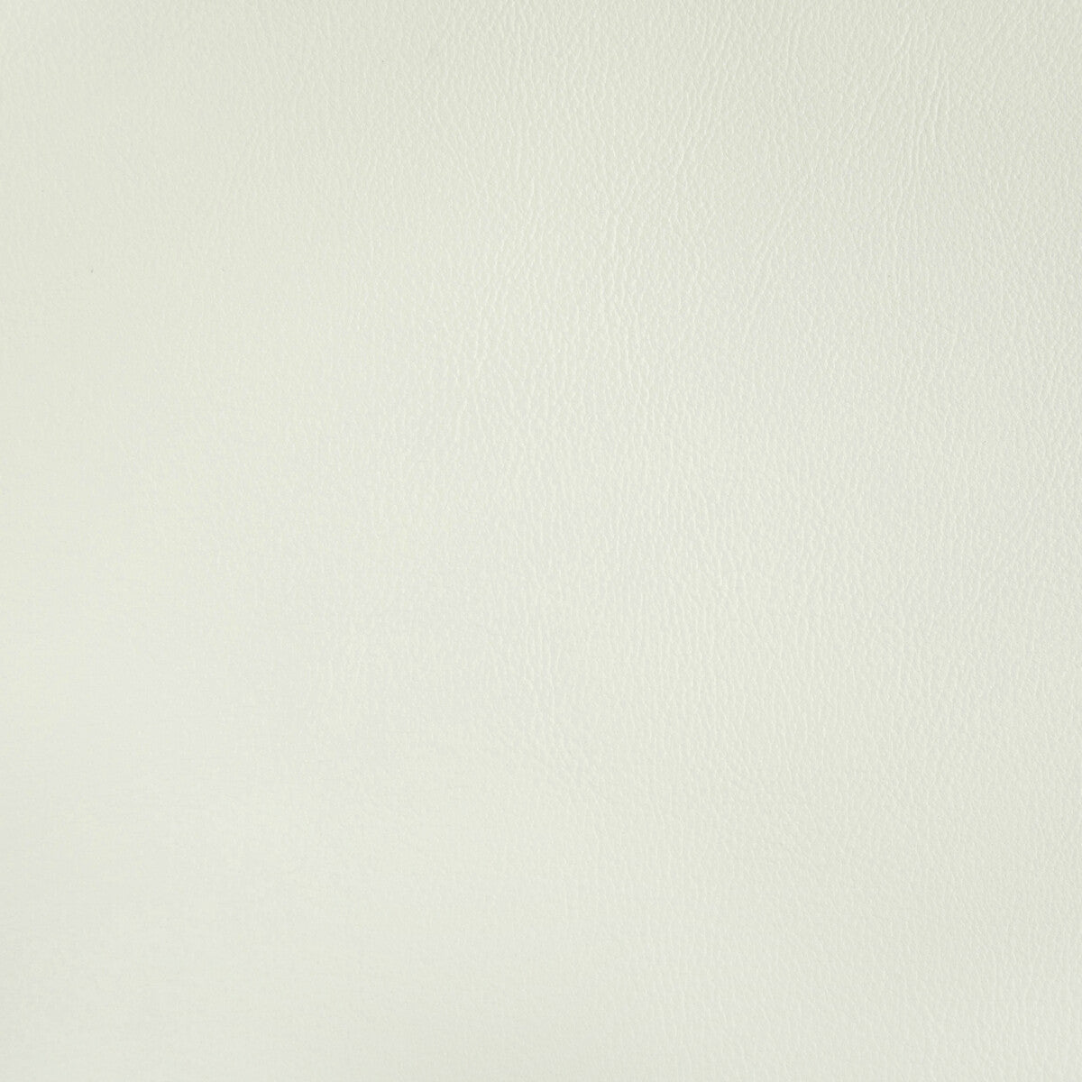 KRAVET CONTRACT RAND.1.0 RAND GESSO Fabric - Eade's Wallpaper