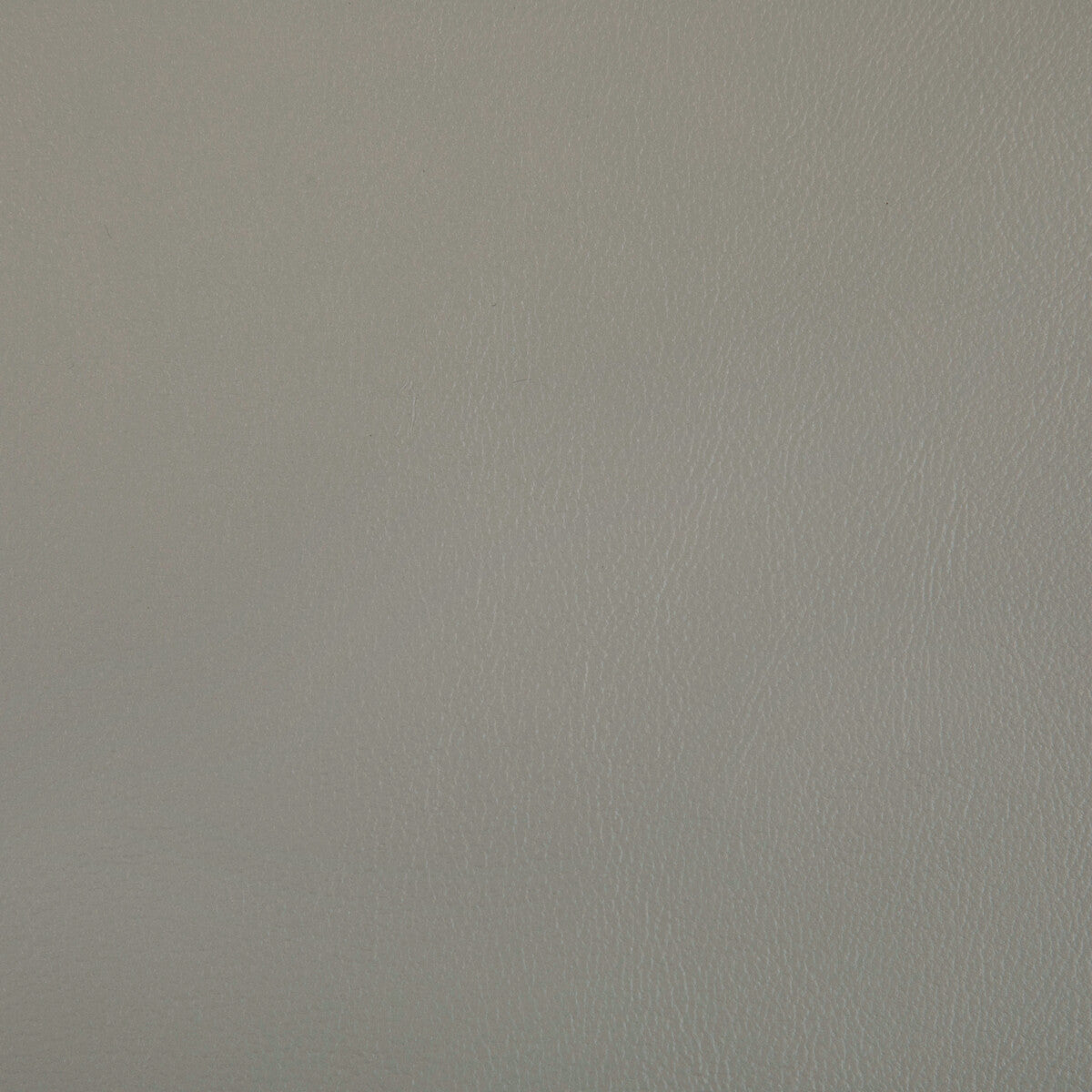 KRAVET CONTRACT RAND.11.0 RAND PORCINI Fabric - Eade's Wallpaper