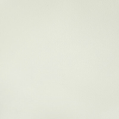 KRAVET CONTRACT RAND.1.0 RAND GESSO Fabric - Eade's Wallpaper
