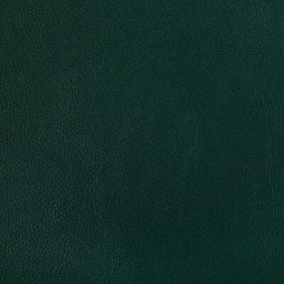 KRAVET CONTRACT RAND.3.0 RAND FOREST Fabric - Eade's Wallpaper