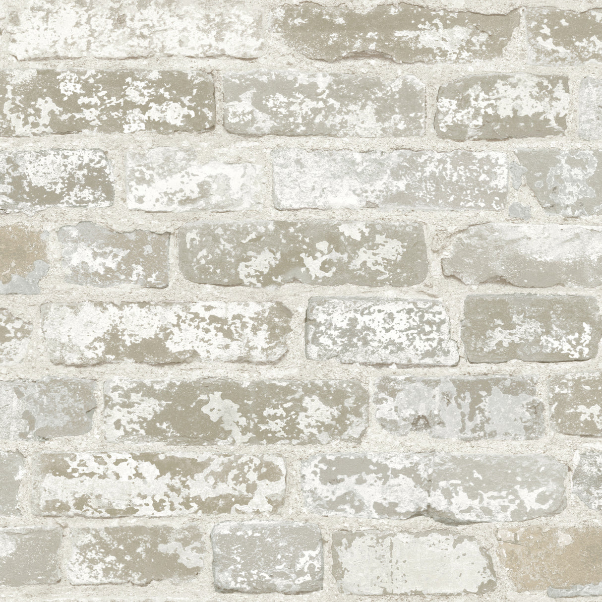 York RB4304 Up the Wall Off White & Grey Wallpaper