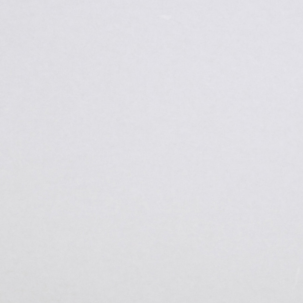 Brewster RD5000 Papyrus Paintable Armadillo Wallpaper