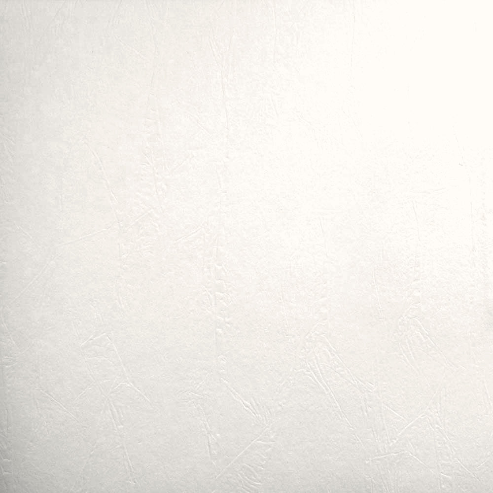 Astek RD5011 Armadillo Merlin