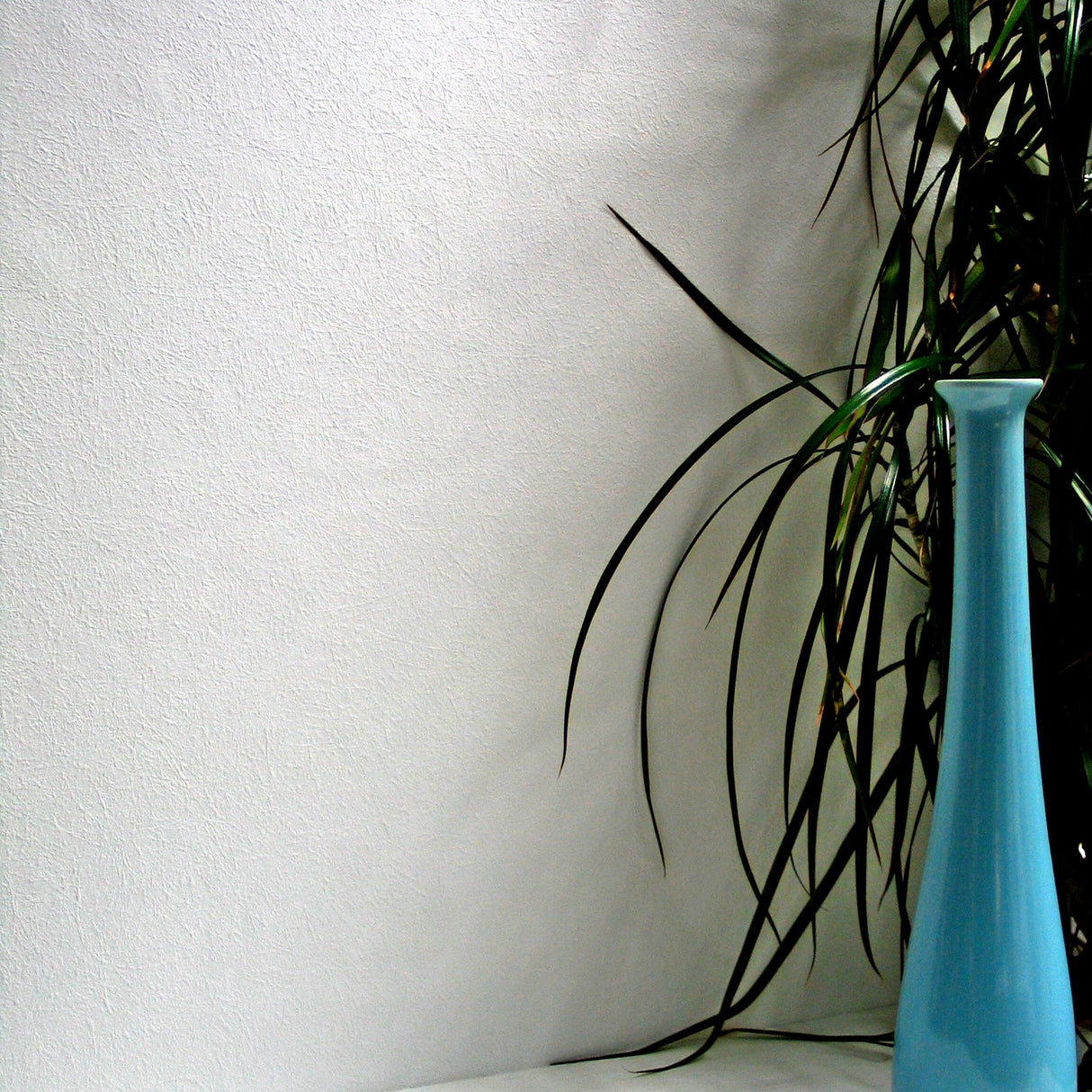 Brewster RD5012 Lapwing Paintable Armadillo Wallpaper