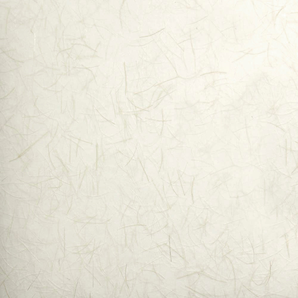 Astek RD5030 Armadillo Wagtail