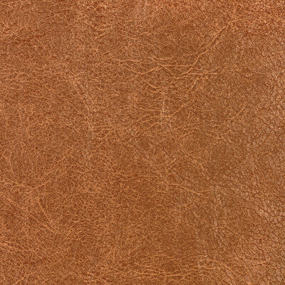 KRAVET CONTRACT REBOOT REBOOT.616.0 in NUTMEG Fabric - EVOLV