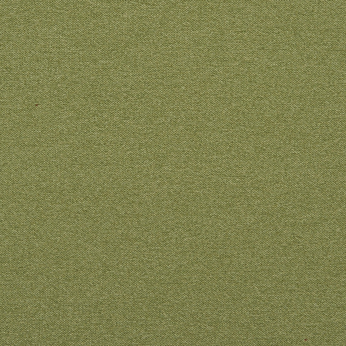 Crypton 74-J7031 REMINGTON Fabric