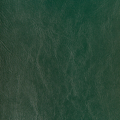 KRAVET DESIGN RENOWN.53.0 KRAVET DESIGN RENOWN-53 Fabric - FAUX LEATHER IV