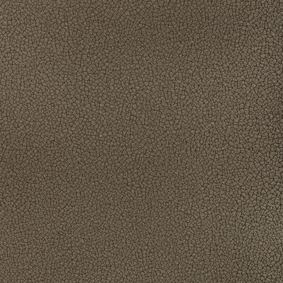 KRAVET CONTRACT RESET RESET.21.0 in IRON Fabric - EVOLVE FAU