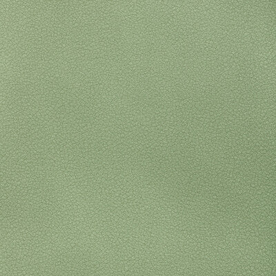 KRAVET CONTRACT RESET RESET.313.0 in SPEARMINT Fabric - EVOL