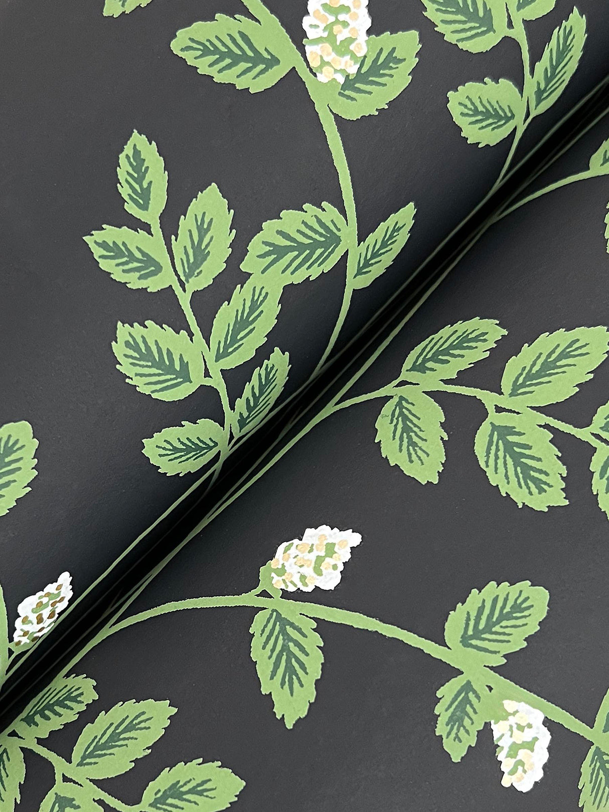 Rifle Paper Co. RF7422 Climbing Vine Black Wallpaper