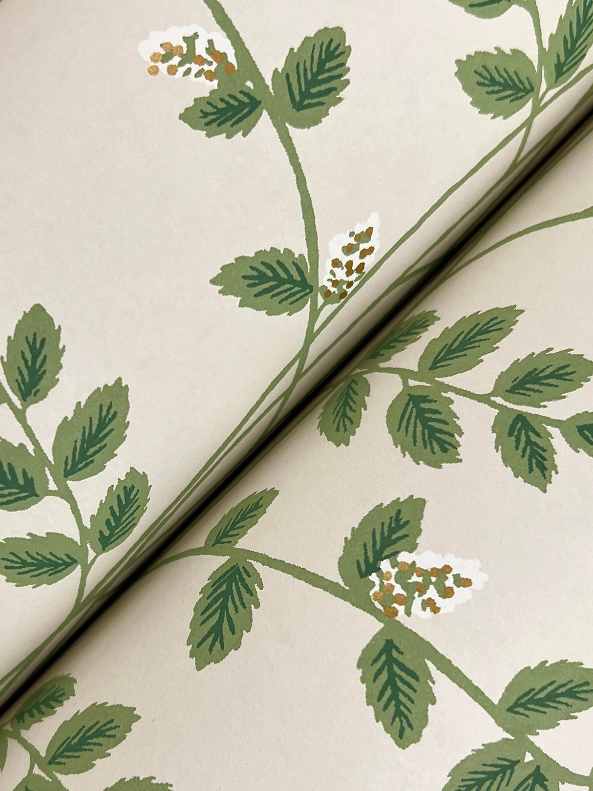 Rifle Paper Co. RF7423 Climbing Vine Linen Wallpaper