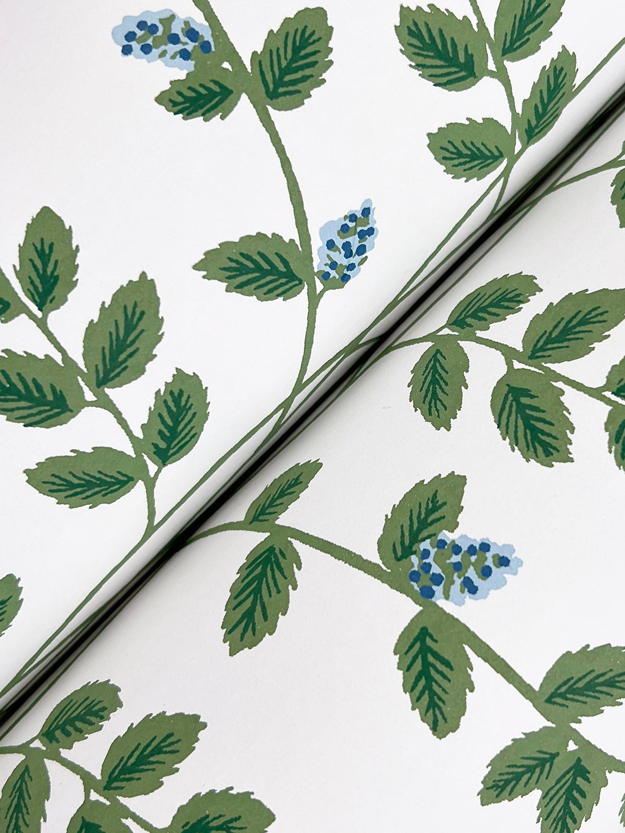 Rifle Paper Co. RF7425 Climbing Vine Blue Wallpaper