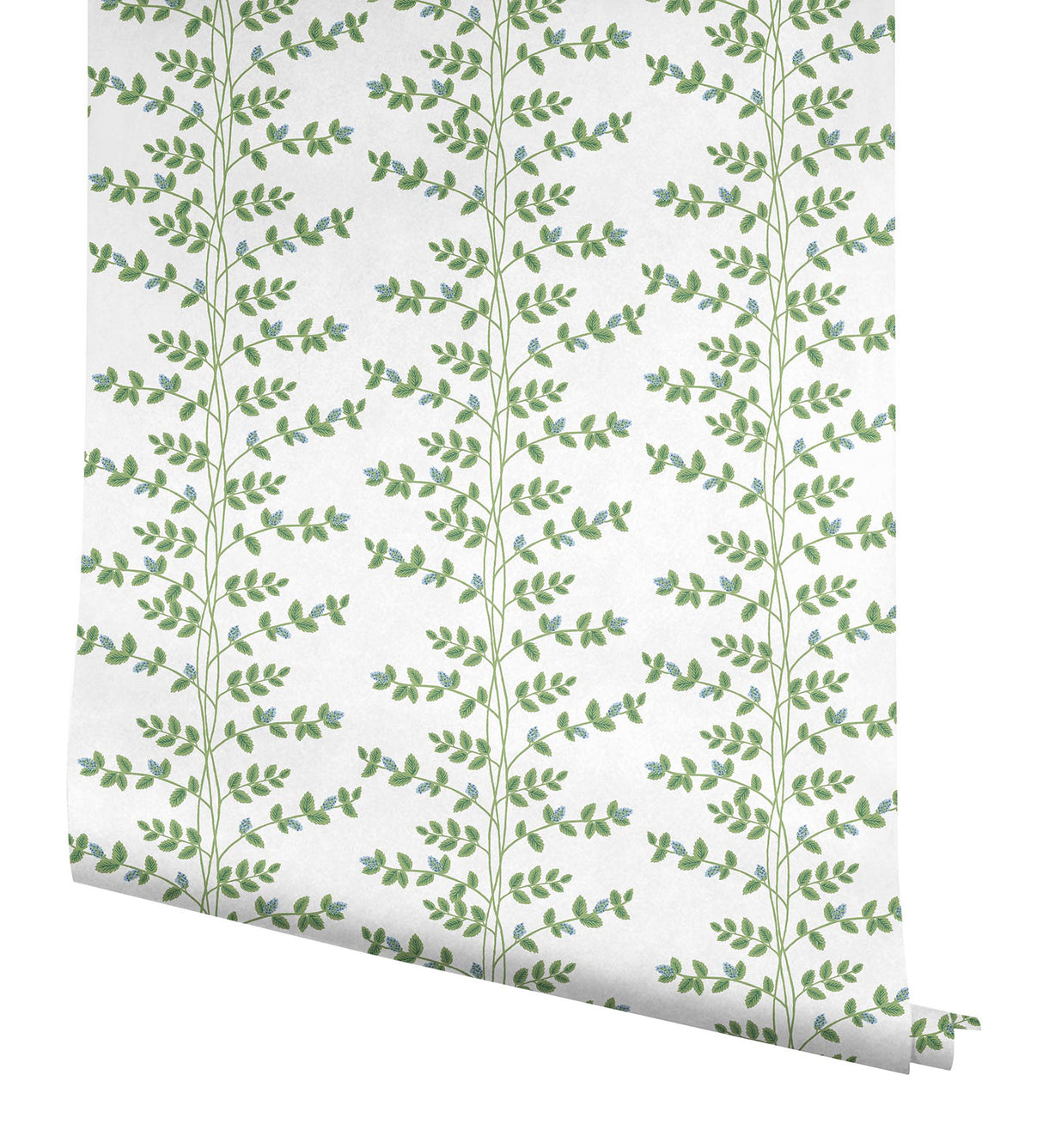 Rifle Paper Co. RF7425 Climbing Vine Blue Wallpaper