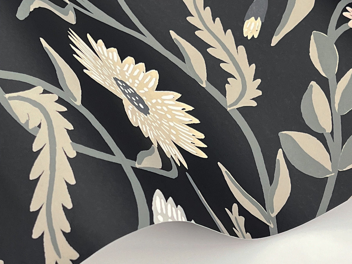 Rifle Paper Co. RF7434 Aster Black Wallpaper