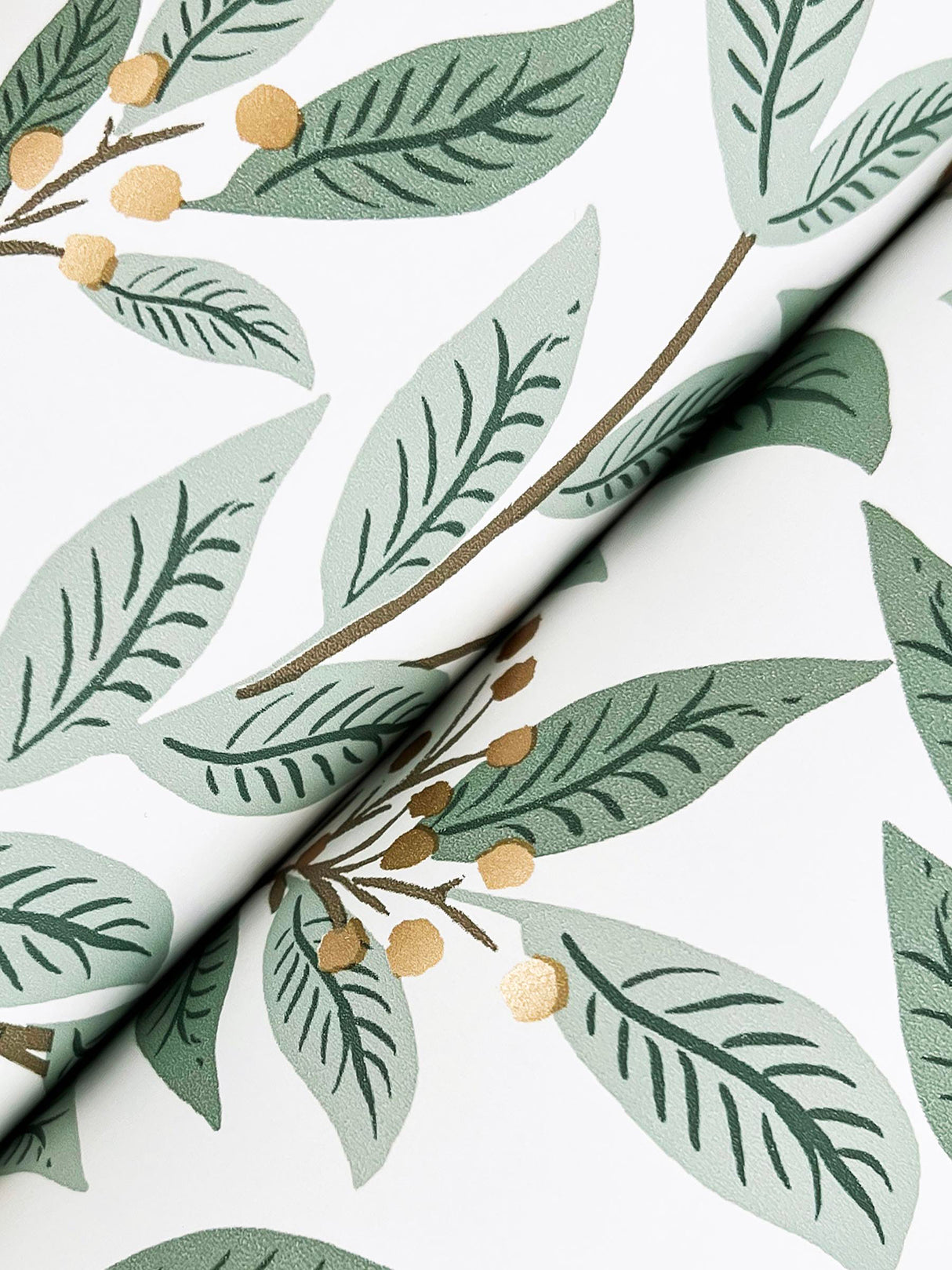 Rifle Paper Co. RF7465 Willowberry Sage Wallpaper