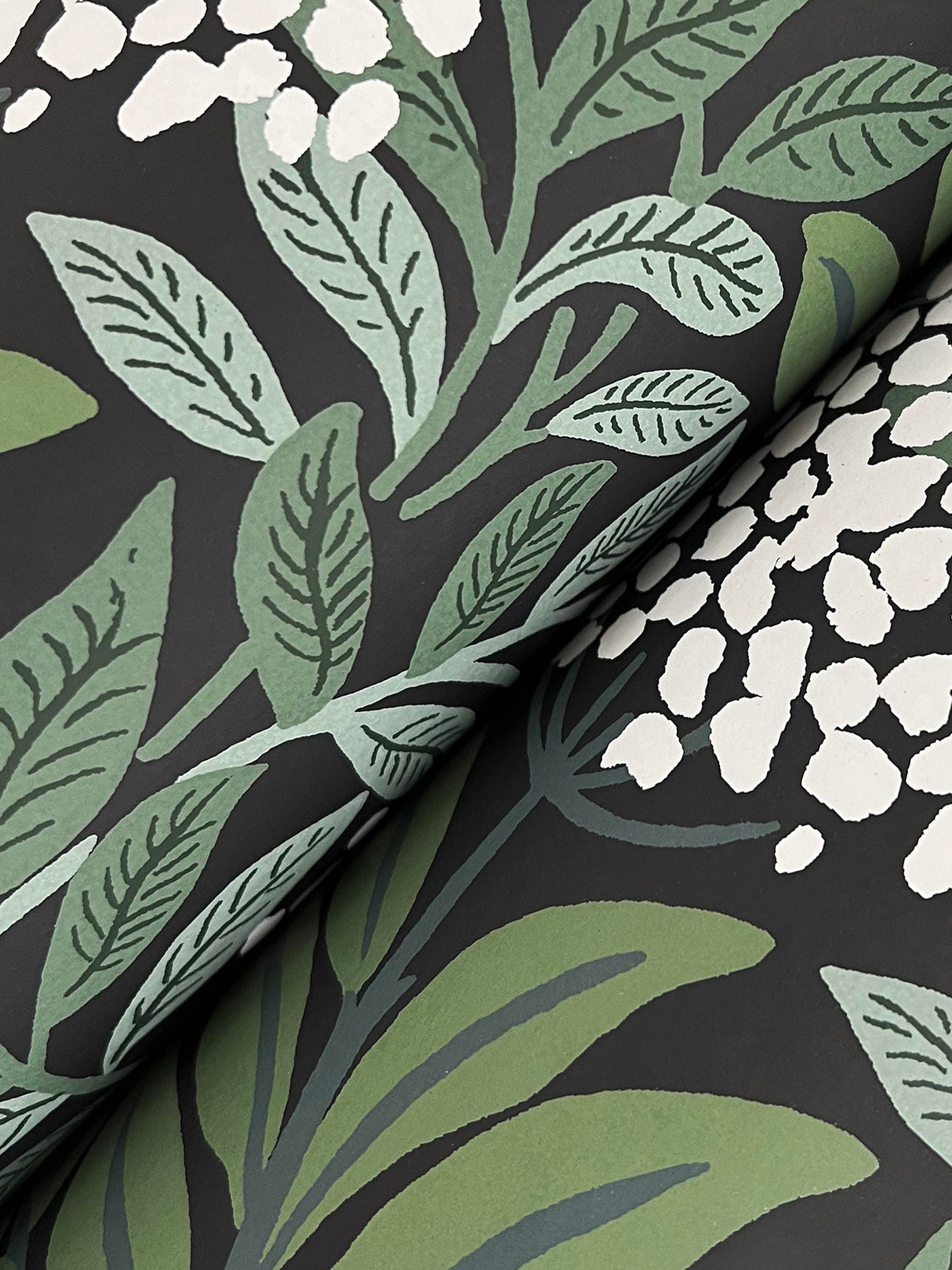 Rifle Paper Co. RF7504 Highgrove Black Wallpaper