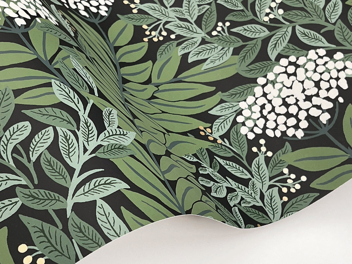 Rifle Paper Co. RF7504 Highgrove Black Wallpaper
