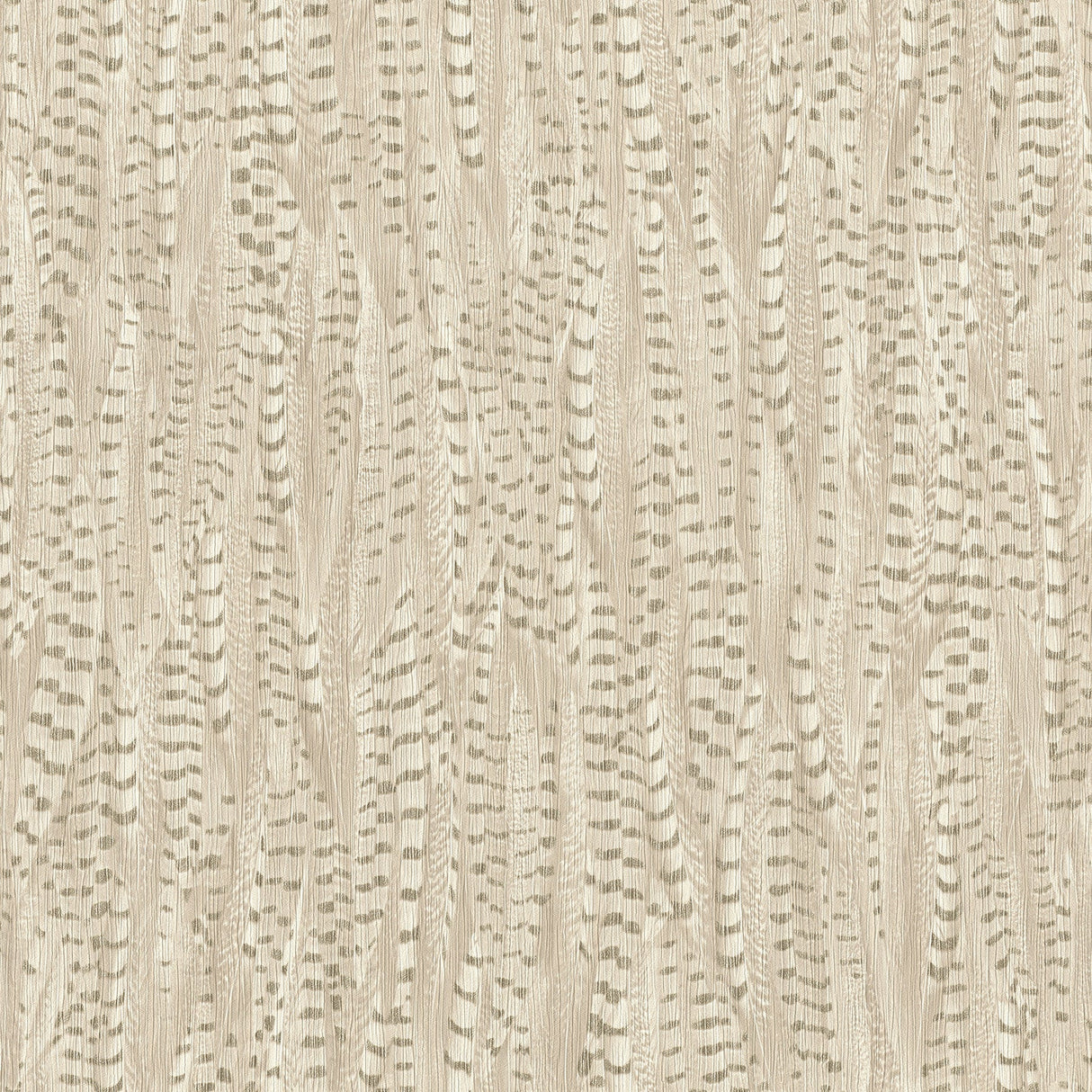 Rasch RH550238 Pinna Cream Feather Texture Wallpaper
