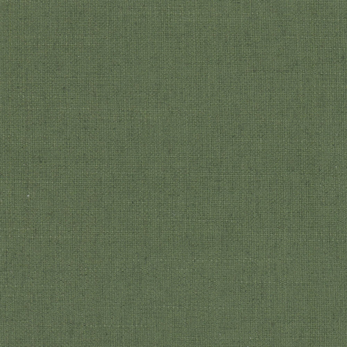 Eade's RHEA-17-sample BOXWOOD