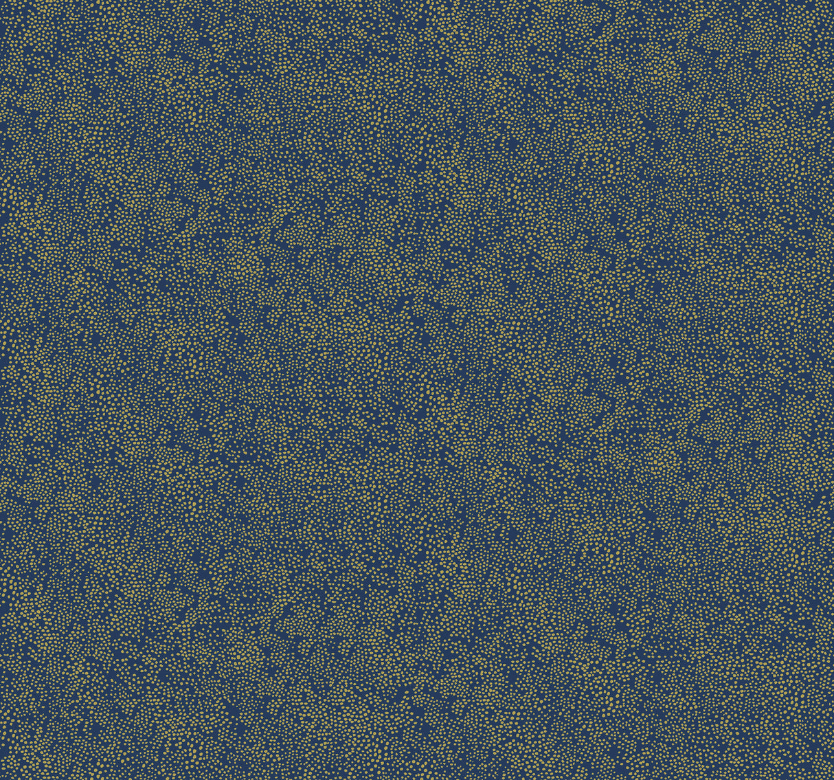 York RI5113 Champagne Dots Gold & Navy Wallpaper