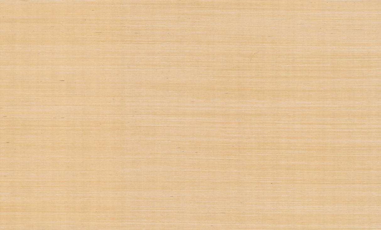 York RI5185 Palette Gold Metallic Wallpaper