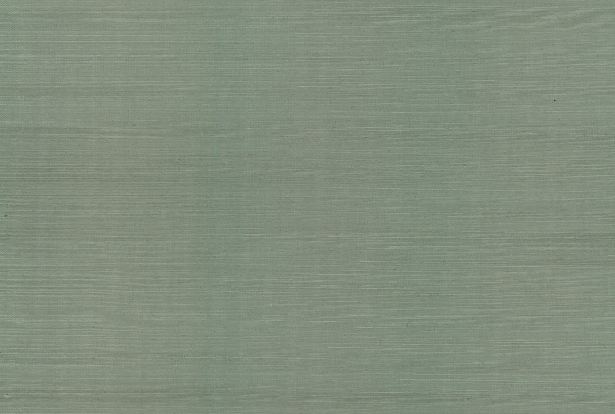 York RI5186 Palette Sage Wallpaper