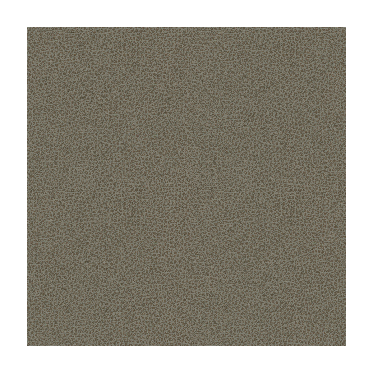 KRAVET DESIGN RIGEL.11.0 KRAVET DESIGN RIGEL-11 Fabric - Eade's Wallpaper