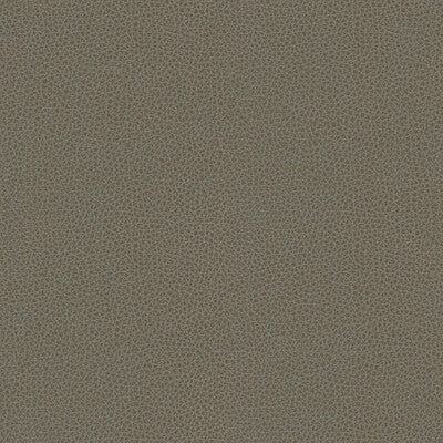 KRAVET DESIGN RIGEL.11.0 KRAVET DESIGN RIGEL-11 Fabric - Eade's Wallpaper