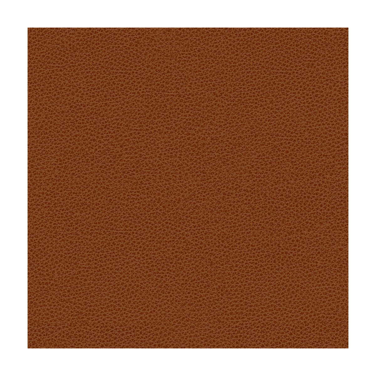 KRAVET DESIGN RIGEL.24.0 KRAVET DESIGN RIGEL-24 Fabric - Eade's Wallpaper