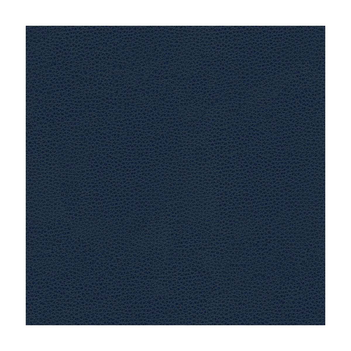 KRAVET DESIGN RIGEL.5.0 KRAVET DESIGN RIGEL-5 Fabric - Eade's Wallpaper