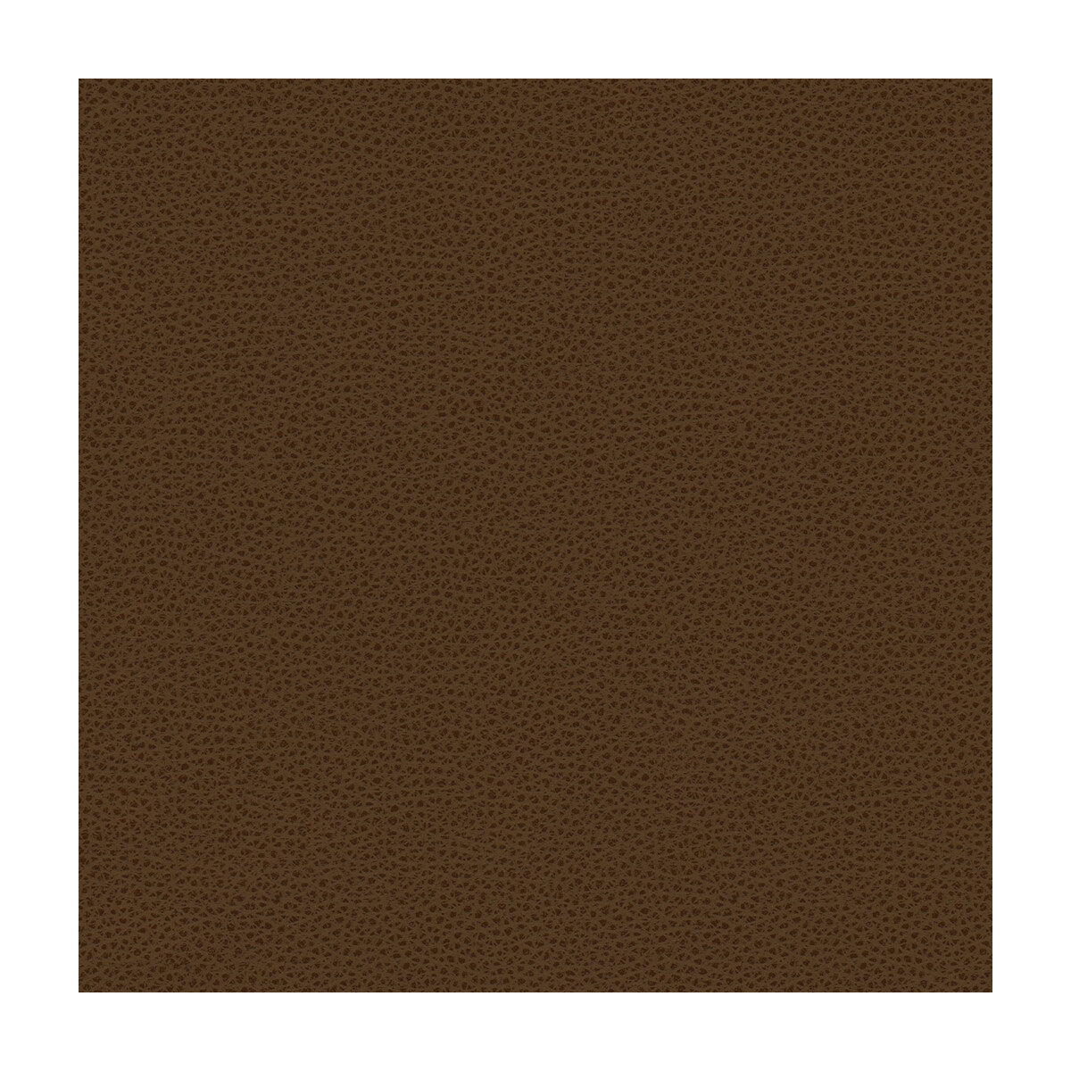 KRAVET DESIGN RIGEL.6.0 KRAVET DESIGN RIGEL-6 Fabric - Eade's Wallpaper