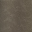 KRAVET DESIGN RIND.11.0 KRAVET DESIGN RIND-11 Fabric - FAUX LEATHER IV