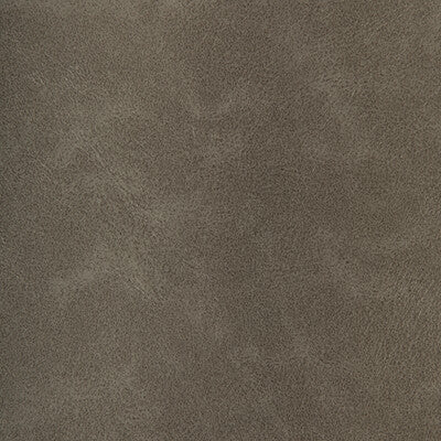KRAVET DESIGN RIND.11.0 KRAVET DESIGN RIND-11 Fabric - FAUX LEATHER IV