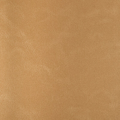 KRAVET DESIGN RIND.116.0 KRAVET DESIGN RIND-116 Fabric - FAUX LEATHER IV