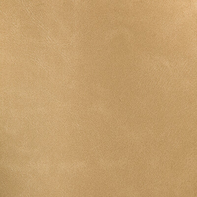 KRAVET DESIGN RIND.16.0 KRAVET DESIGN RIND-16 Fabric - FAUX LEATHER IV