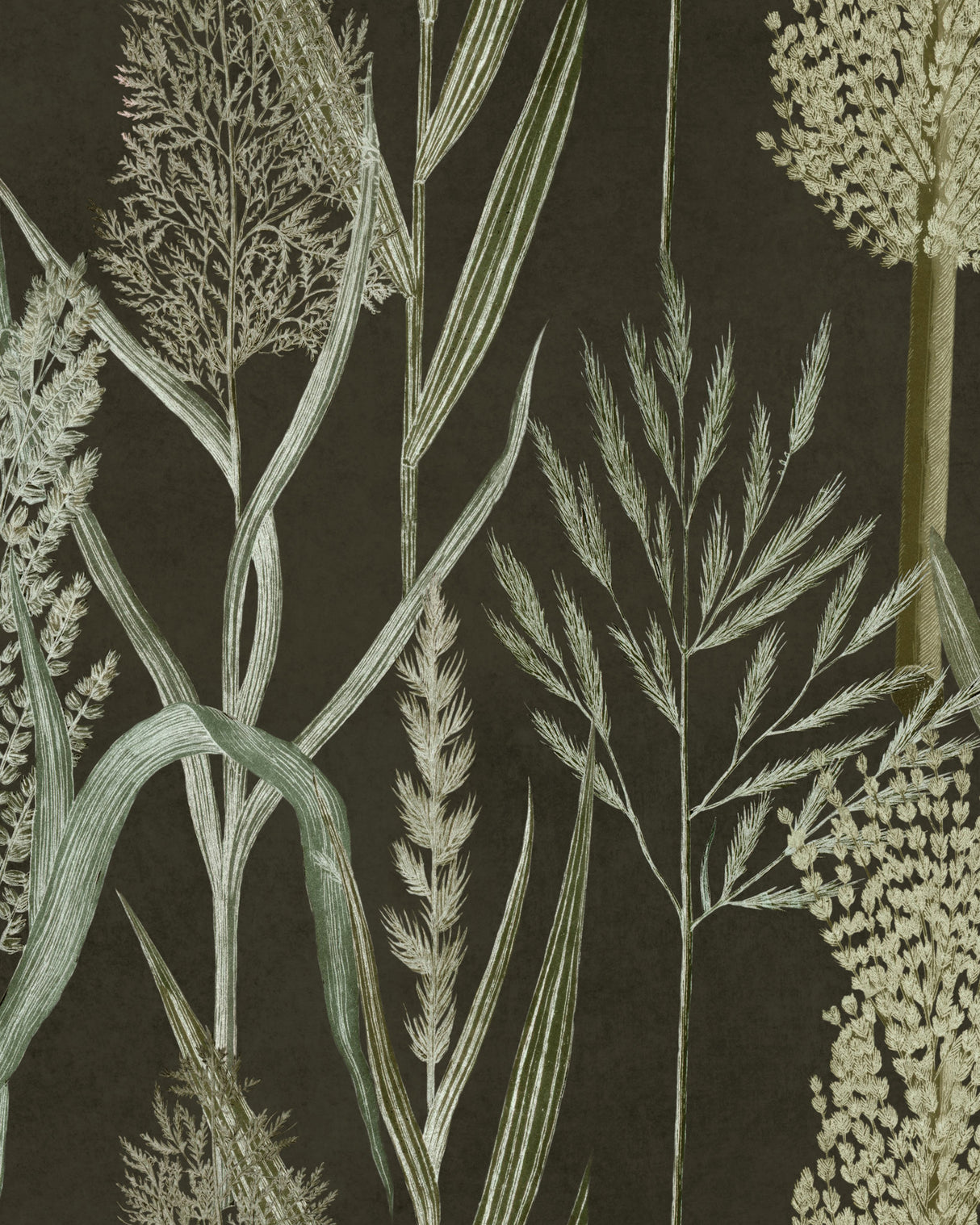 MindtheGap RIVERSIDE FLORA Anthracite - Wallpaper Collection 2024 - The Wetlands