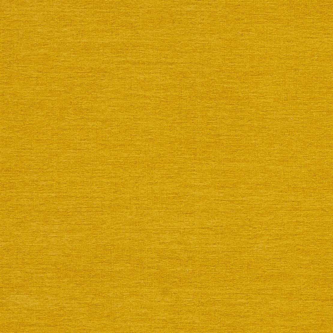 Eade’s # 535 MUSTARD