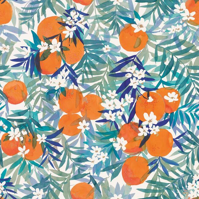 RoomMates RMK12199RL Orange Blossom Peel & Stick Wallpaper - Eade's Wallpaper