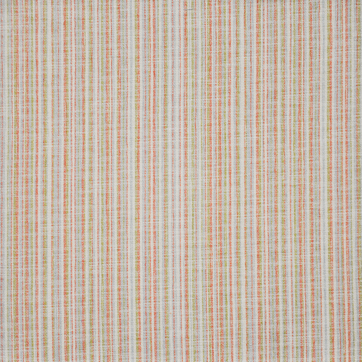 Eade’s # 422 SORBET