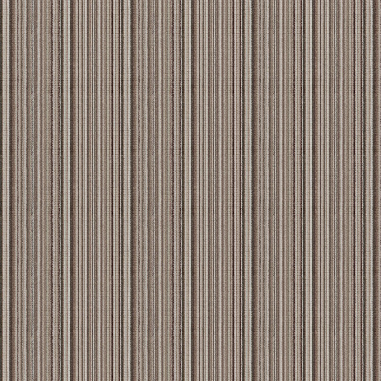 Eade’s # 256 TIRAMISU