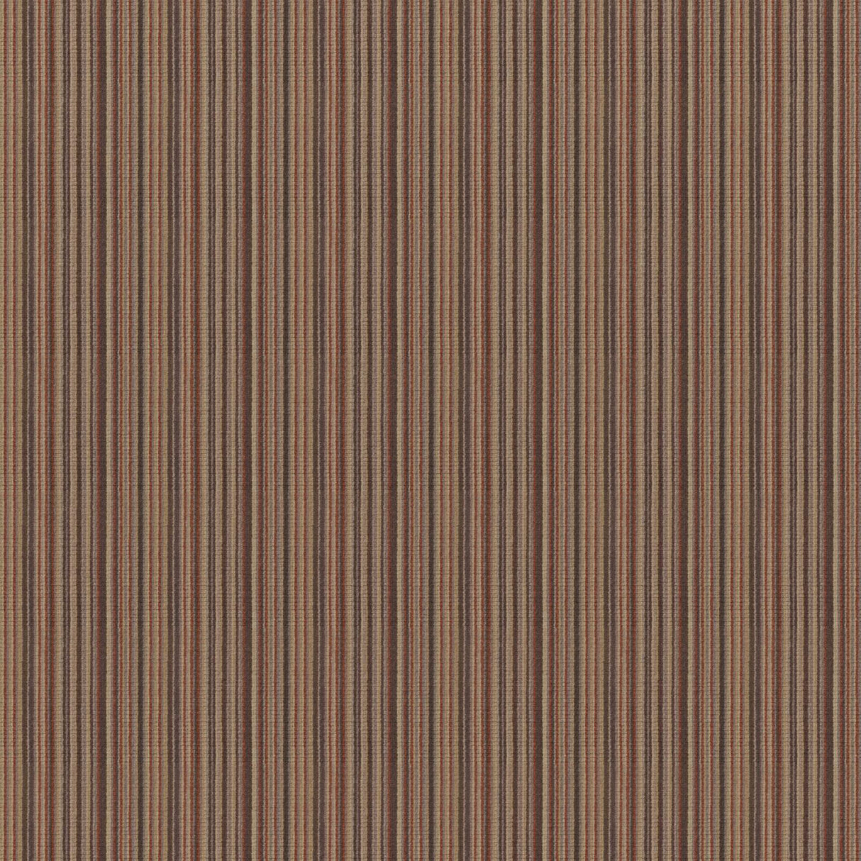 Eade’s # 528 COCOON