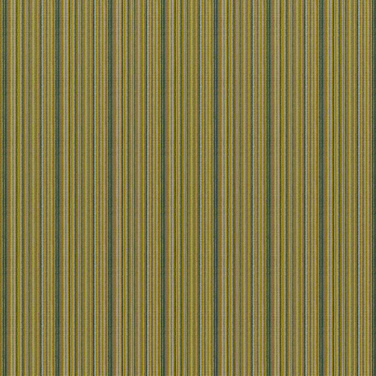 Eade’s # 834 CUCUMBER